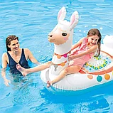 INTEX Надувная игрушка в форме ламы для плавания, 57564, фото 4